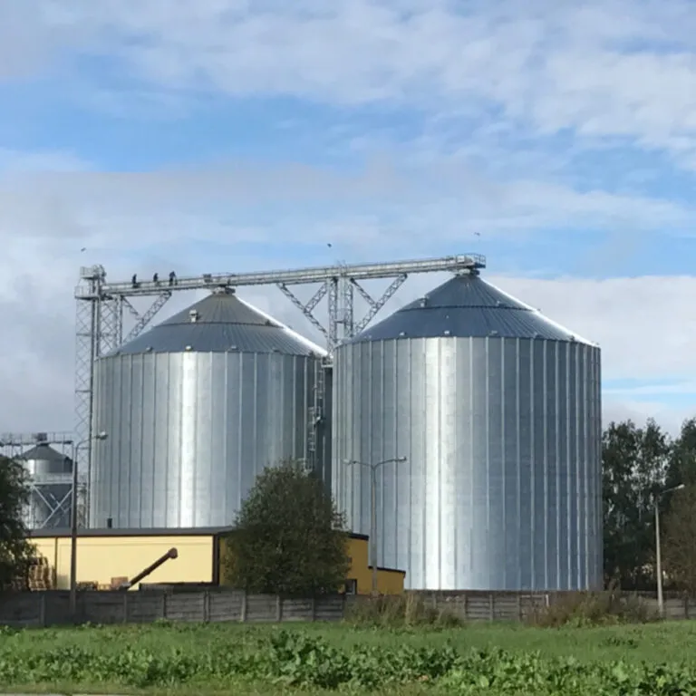 Grain Storage Container