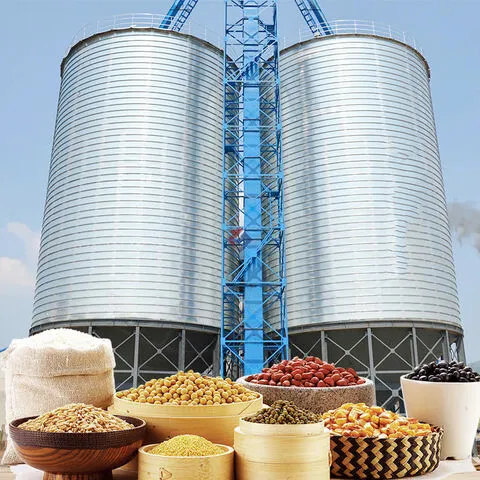 Rice Storage Silo
