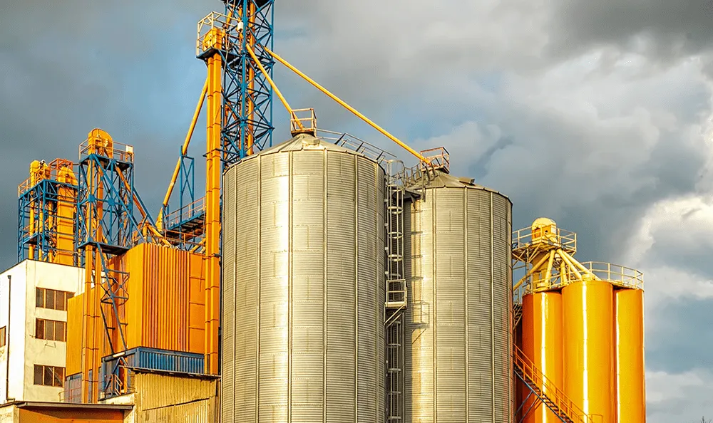 Grain Handling System