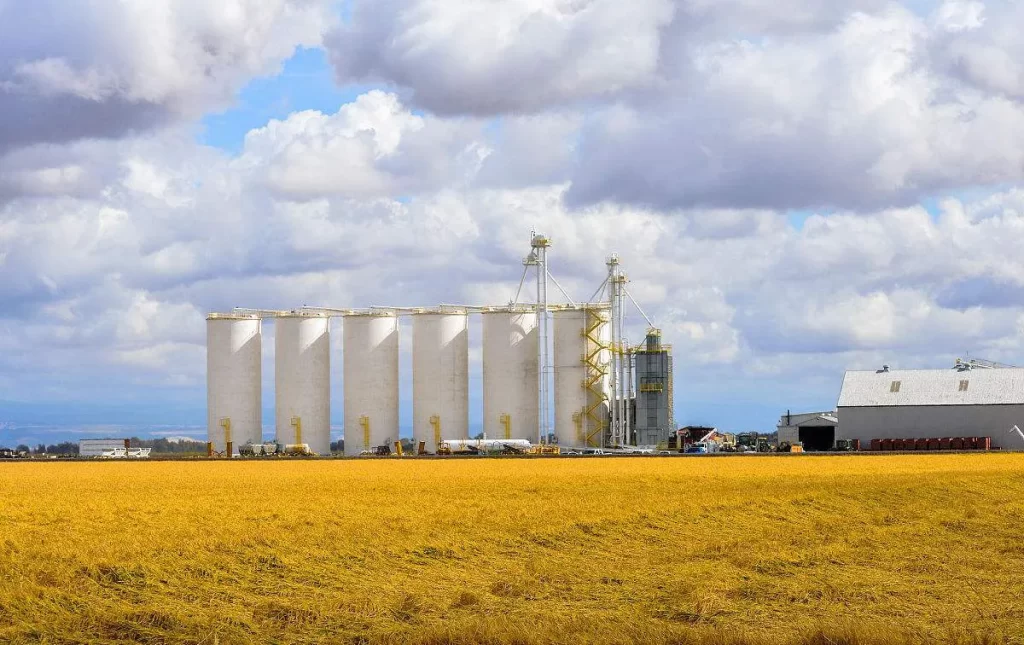 Paddy Storage Silos